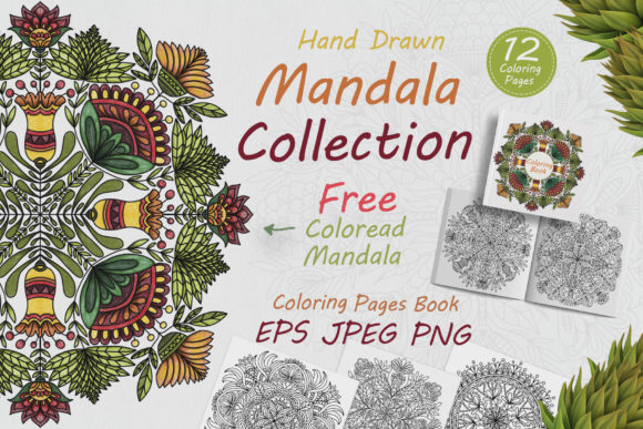 Hand Drawn Mandalas in Folk Style Flower & Coloring Pages Amp: A Designer’s Real-World Review